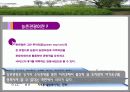 국내관광상품개발 - 농촌관광 사례조사 3페이지