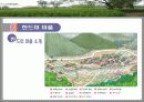 국내관광상품개발 - 농촌관광 사례조사 18페이지