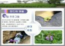 국내관광상품개발 - 농촌관광 사례조사 21페이지