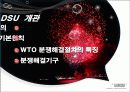 [Dispute Settlement Understandin] 분쟁 해결 관련 양해서 3페이지