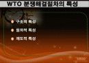 [Dispute Settlement Understandin] 분쟁 해결 관련 양해서 13페이지