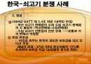 [Dispute Settlement Understandin] 분쟁 해결 관련 양해서 17페이지