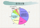 유대교, 기독교, 이슬람의 비교 2페이지