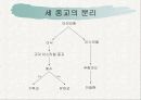 유대교, 기독교, 이슬람의 비교 4페이지