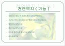 친환경자재(친환경 건축 자재), ppt 13페이지