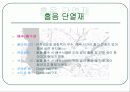 친환경자재(친환경 건축 자재), ppt 31페이지