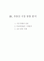 시장조사 보고서 21페이지