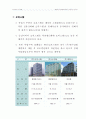 시장조사 보고서 26페이지