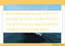 [해상보험, 무역] 무역위험과보험.ppt 22페이지