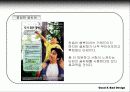 인쇄광고사례분석 25페이지