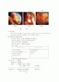 임신과 피임 4페이지