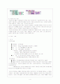 체코의 정치 경제 사회 교육 문화 5페이지