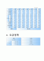  [가상] 사업계획서 8페이지
