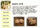 딤섬에 대하여 5페이지