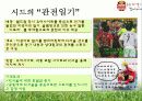 K리그 FC 서울 홍보 마케팅 전략  53페이지