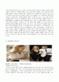 [브랜드마케팅]패션아이템 'ZARA' 의 마케팅전략 및 성공요인 분석(A+리포트) 10페이지