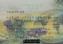 로만손의 중동시장진출 성공사례분석 2페이지