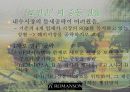 로만손의 중동시장진출 성공사례분석 6페이지