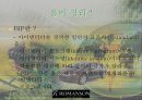 로만손의 중동시장진출 성공사례분석 8페이지