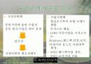 로만손의 중동시장진출 성공사례분석 10페이지