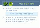 AGV무인 반송차(공장자동화) 13페이지
