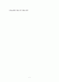 한국의 노․사․정위원회와 유럽의 코프라티즘 2페이지