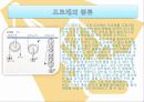 생활속의건축  힘의원리찾기(도르래)  4페이지