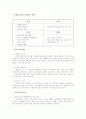 'Czen' 기업 마케팅 분석 4페이지