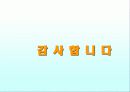 아메리칸에어라인, 전자상거래,B2P,PPT자료 8페이지