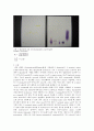 Dipeptide의 아미노산 서열 결정 실험 자료 4페이지