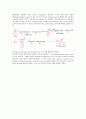 Dipeptide의 아미노산 서열 결정 실험 자료 8페이지