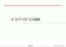 GE매트릭스(GE matrix-CJ E&M의 사례를 통한 GE 매트릭스의 이해) 13페이지