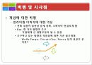 마케팅 전략 good to great 전략경영 보고서(위대한 기업들의 비밀을 전략으로!) 33페이지