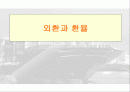 [무역학원론] 외환과 환율 1페이지