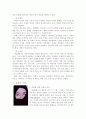 이슬람 문화와 여성 4페이지