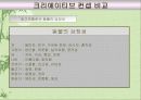 [마케팅,광고] 정유 3사(SK, S-OIL, GS칼텍스) 광고 전략 비교 36페이지