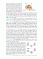 뇌의 구조와 기능 2페이지