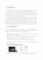한국의 웰빙 열풍 9페이지