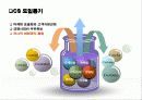 CS 강의 자료 & 템플릿  68페이지