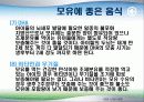 모유수유의 중요성과 영양관리 ppt 14페이지