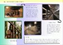 유네스코 지정 세계문화유산 조사 보고서 21페이지
