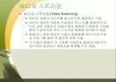 비디오와 애니메이션 5페이지