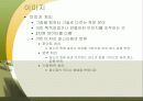 이미지와그래픽 13페이지