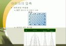 이미지와그래픽 30페이지