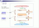 CO2 대체냉매(이산화탄소 대채냉매)[발표자료]. 20페이지