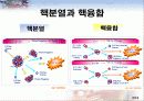 핵분열과 핵융합의 원리[발표자료] 3페이지