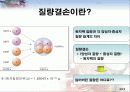 핵분열과 핵융합의 원리[발표자료] 4페이지