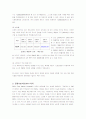 닌텐도DS의 국내시장진출전략과 성공요인 8페이지