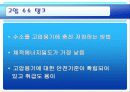 연료전지자동차 [발표자료] 20페이지
