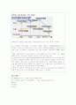 미샤의 중국시장진출 마케팅전략 15페이지